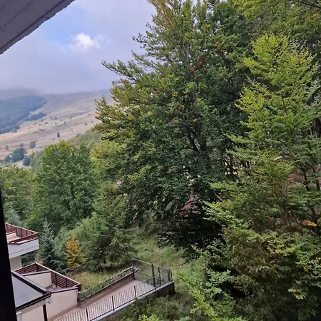 La Tana Del Capriolo *