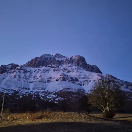 La Tana Del Capriolo