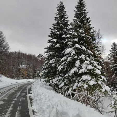 La Tana Del Capriolo Appartement *