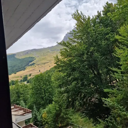 La Tana Del Capriolo Apartment *