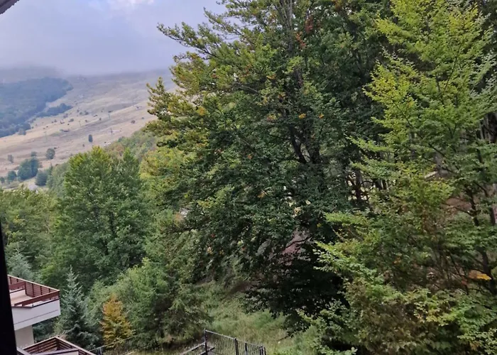 La Tana Del Capriolo *