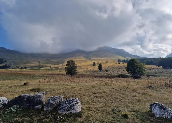 La Tana Del Capriolo *