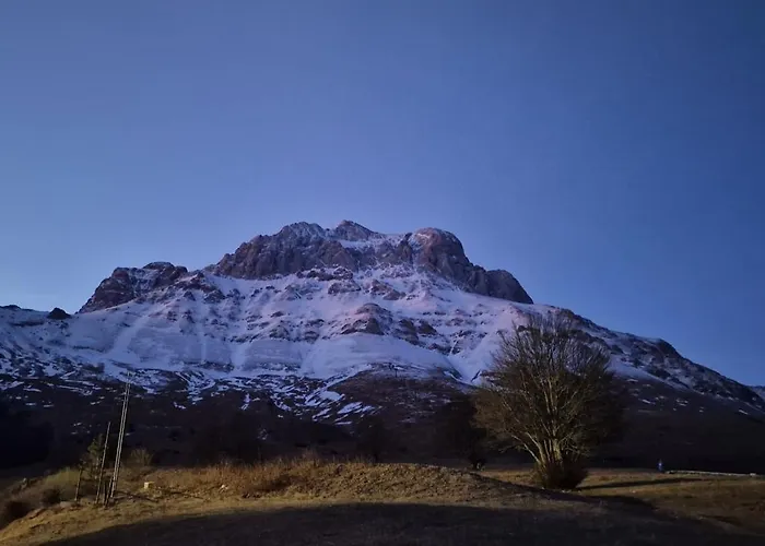 La Tana Del Capriolo